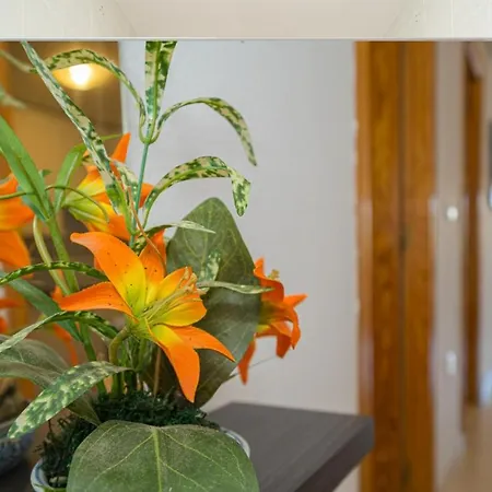 Coliseo 6 3c Spaniahome Apartment