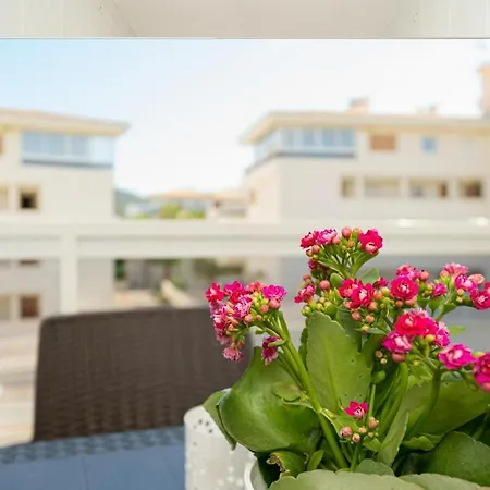 Coliseo 6 3c Spaniahome El Albir